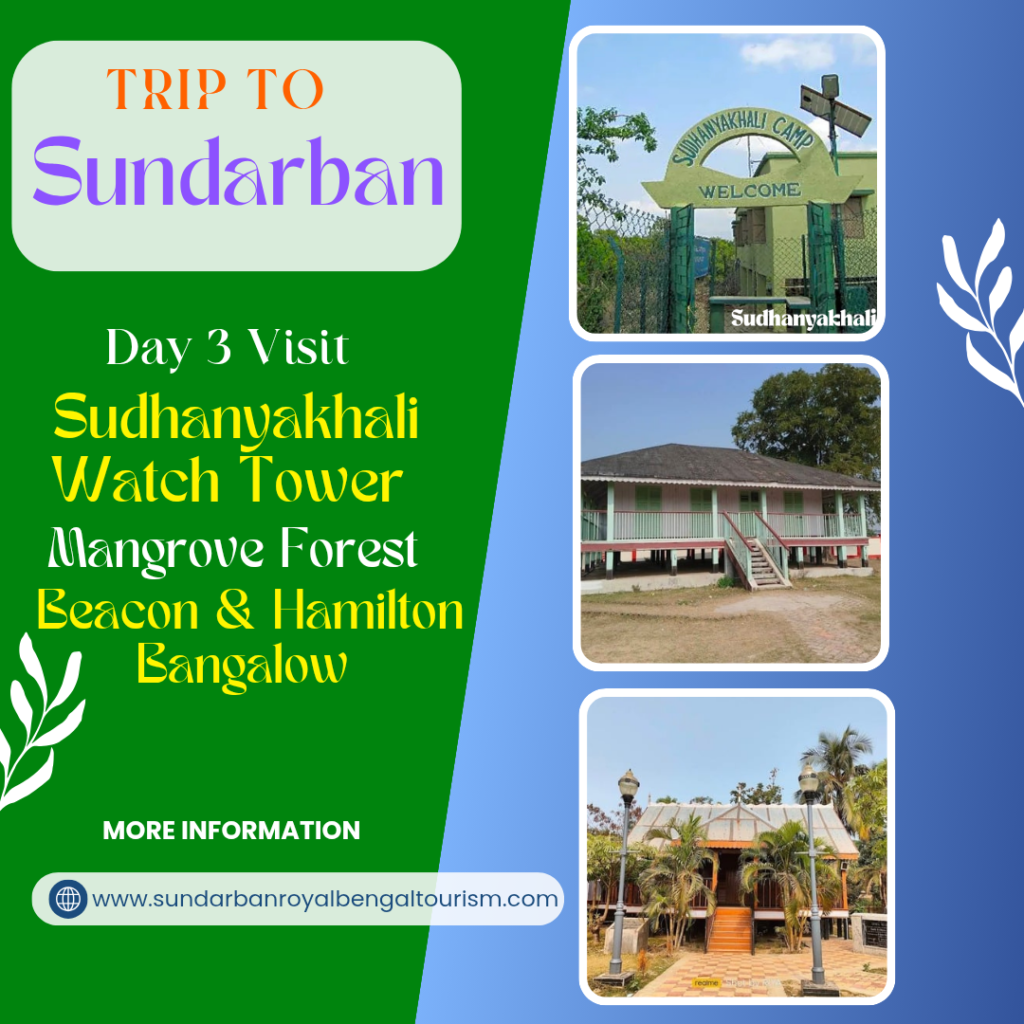 blue and white modern trip to thailand instagram post 20250829 083725 0000