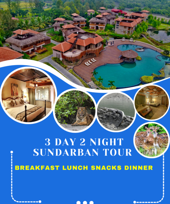 Sundarban 3 Day 2 Night