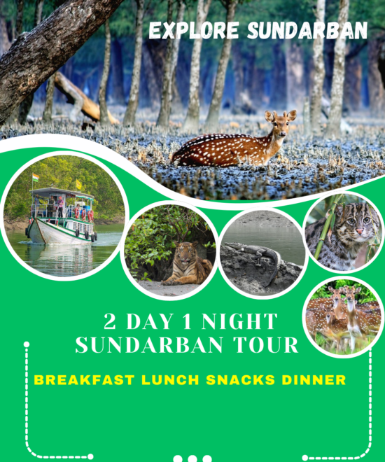 Sundarban 2 Day 1 Night Tour