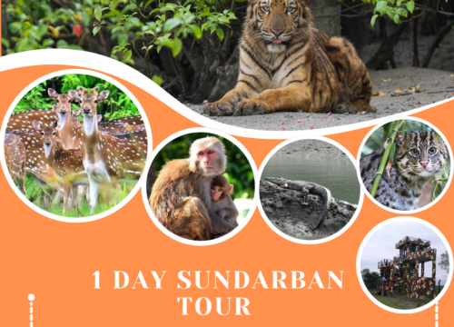 Sundarban Day Outing