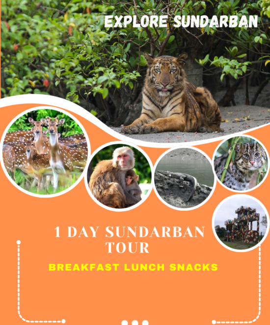 Sundarban Day Outing