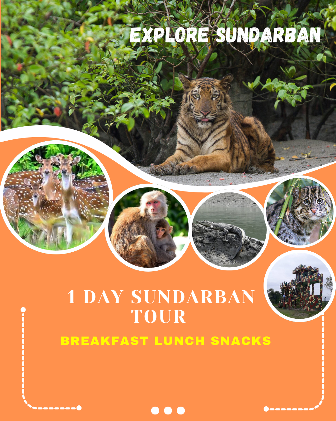 Sundarban Day Outing