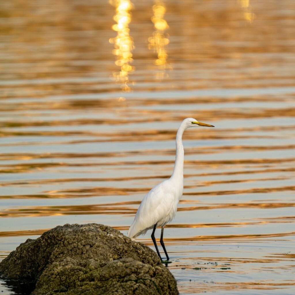 fb img 1755397092259