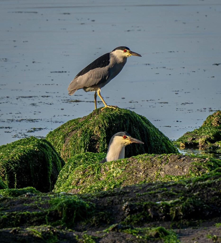 fb img 1755397107503