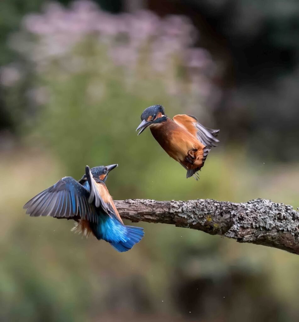 fb img 1755398374925