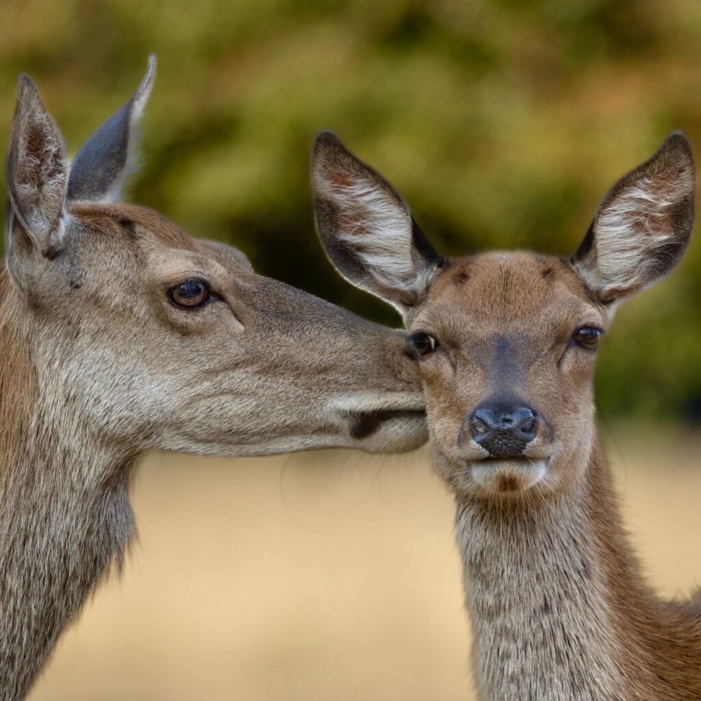 fb img 1755507839400