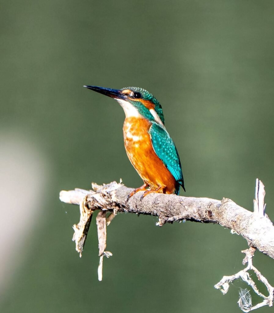 fb img 1755565231002