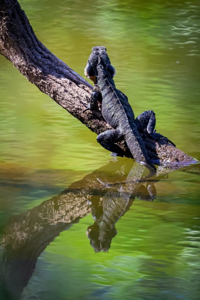 fb img 1755582662751