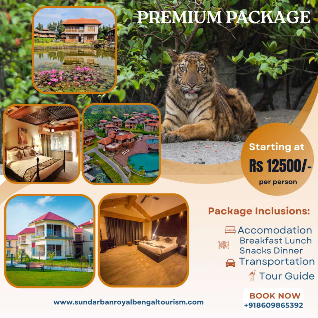 orange and blue manali travel instagram post 20250823 073521 0000