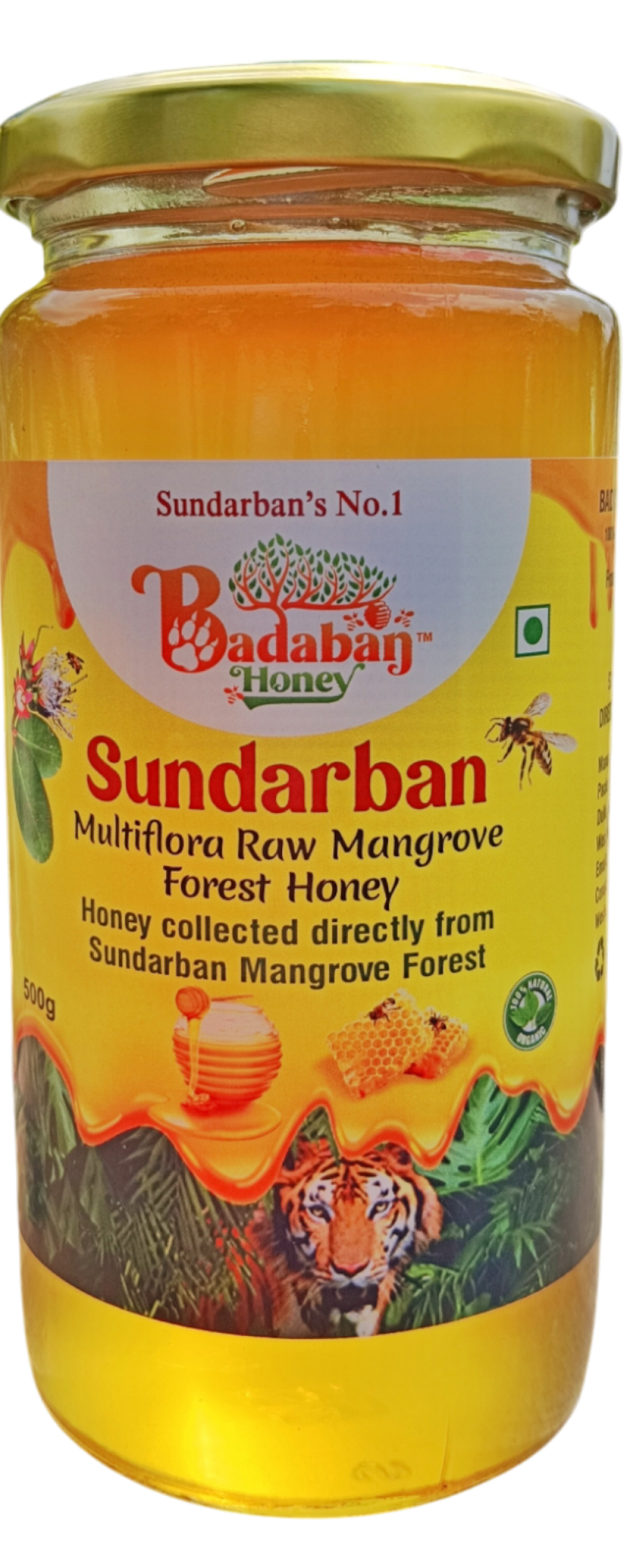 photoroom 20241116 205818