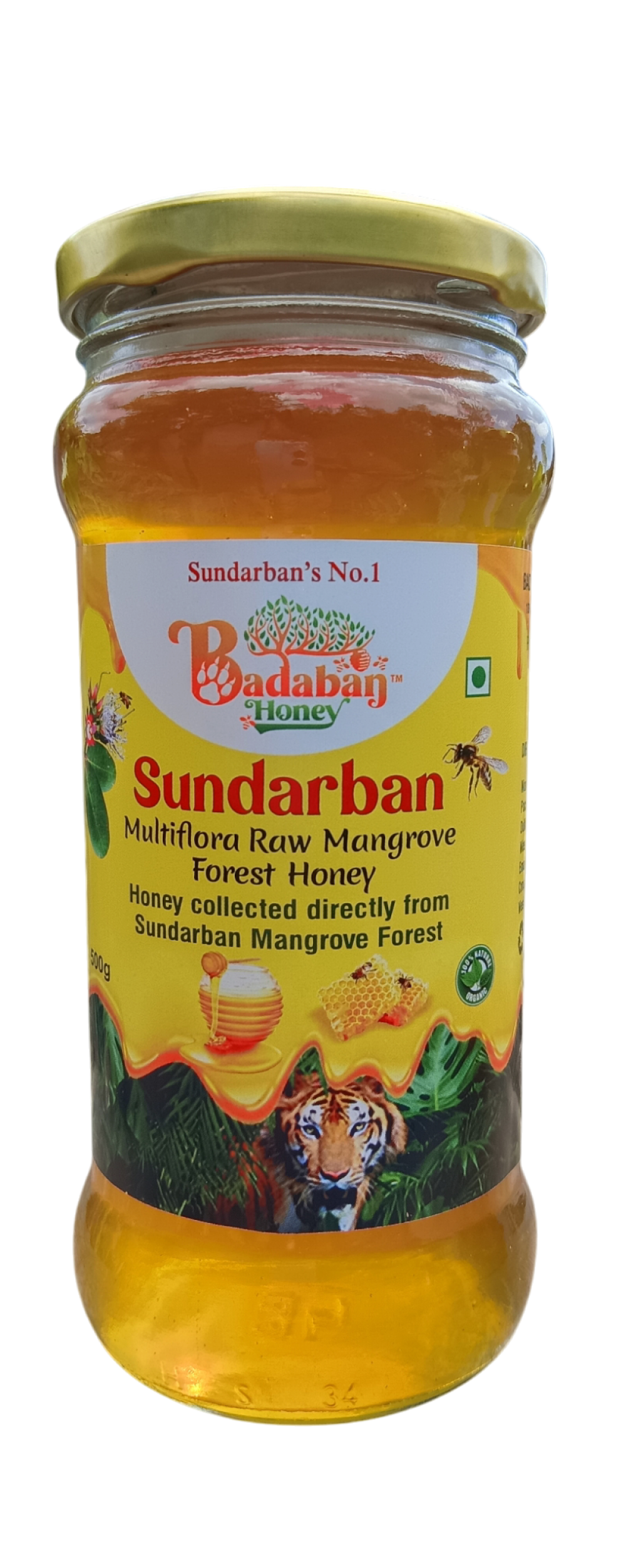 photoroom 20241206 132404